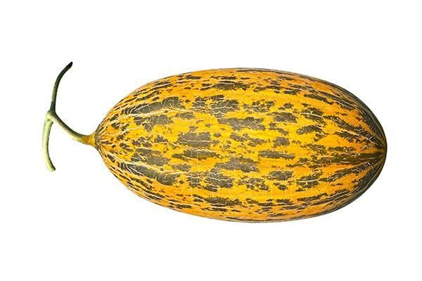 Fresh Melon - Image 1