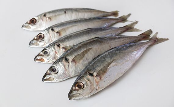 Frozen round scad from factory in bulk to export for wholesales - Image 3