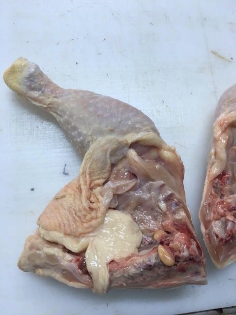 Frozen Chicken Leg Quarters - Image 2