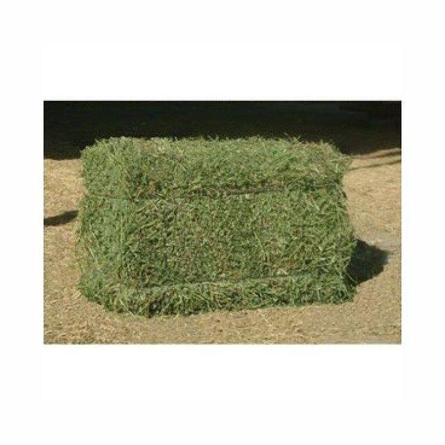 Bulk lucerne hay offered at competitive prices for global export markets - Image 1