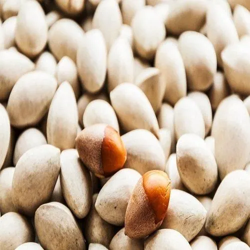 Premium Ginkgo Nuts Raw Fresh Nuts Bulk Wholesale Supply Cheap & Affordable Superfood - Image 3