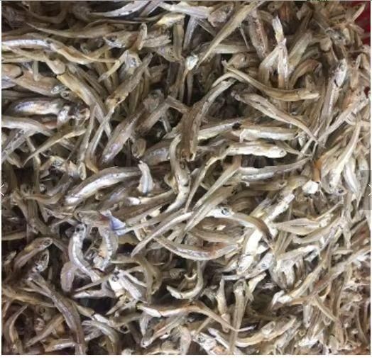 High Quality Dried Small Fish (Tiny Anchovy) From Thailand Wholesaler Manufacturers Seafood Dried Anchovy Fish Anchovies Fish - Image 2