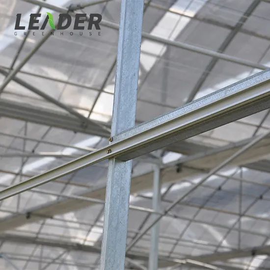 Solar Greenhouse Plastic Films and Strawberry Greenhouses for Agriculture - Image 2