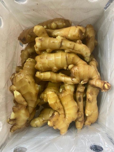 Fresh / Air Dried Chinese Ginger for Export with High Quality - Image 3