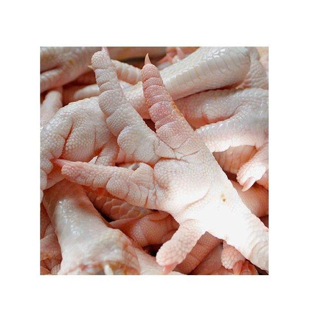 Premium chicken feet wholesale stock bulk purchase low price quick shipment - Image 4