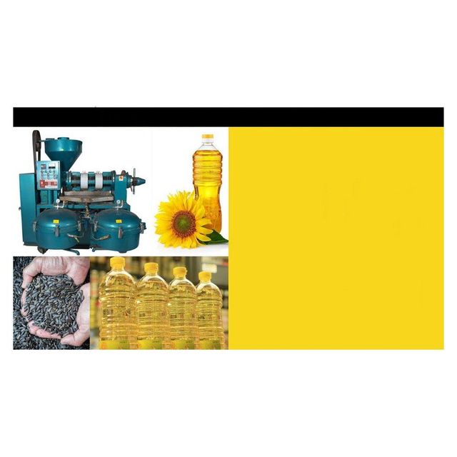 refined sunflower oil for commercial food production high quality edible oil suitable for frying baking and large scale cooking applications - Image 4