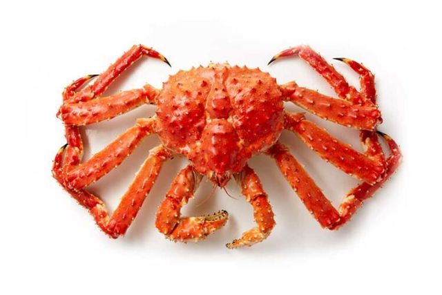 king crab Grade A Color RED Product Form Live Texture Soft Shell Instruction for use EAT Place Of Origin Romania Intended Use Fresh/frozen/seafood For Sale - Image 2