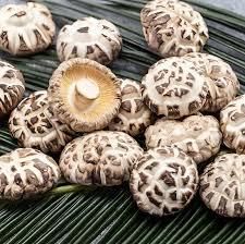Dry Mushroom Dried Shiitake Mushroom Grade A Shelf Life 2 YEARS Moisture Content <=12% Place of Origin THAILAND Shipping - Image 3