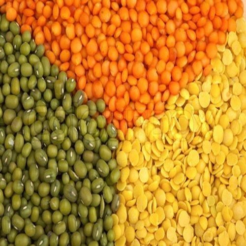 High Quality Yellow Lentils Pure Whole Lentil Beans Bulk & Wholesale Options Cheap Prices - Image 3
