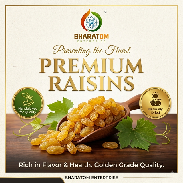 Premium Raisin - Image 3