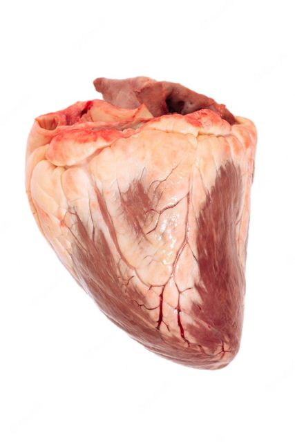  Wholesale RAW BEEF HEART, High-quality protein raw beef heart - Image 3