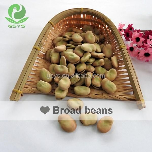 Hot Sale Broad Beans - Image 5