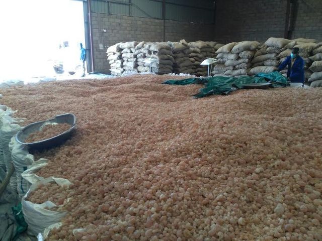 Arabic Gum hashab and Talha Grade AA Type Natural Storage Type dry Weight (kg) 20kg Delivery Form Bag Shelf Life 10years - Image 5