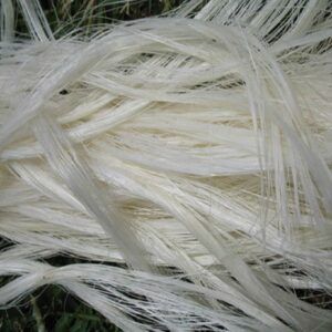 Sisal Fiber Ug Grade - Image 2