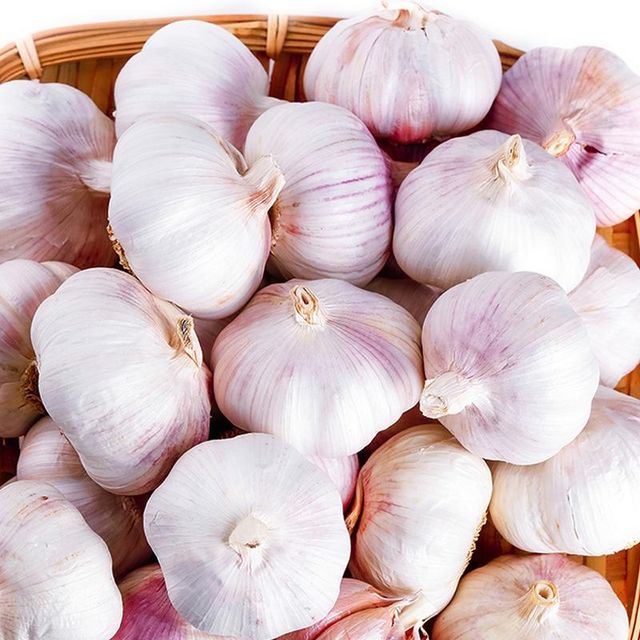 Garlic - Image 2