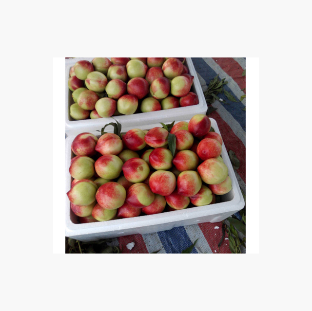 Fresh Peaches & nectarines Grade A Type PEACH Style Fresh Weight (kg) 18 Variety Nectarine Brand Name Custom Shelf Life 1 - Image 4