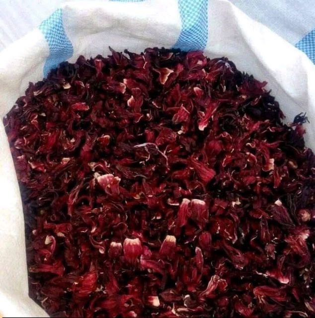 Hibiscus - Image 1