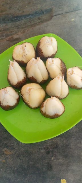 Snake Fruit Salak Organic Yes Fruit Type Salacca Salak Snakefruit - Image 2