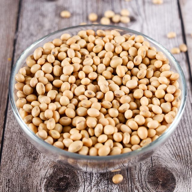 Premium Soybean Seed High Yield Soybean Seed With Exceptional Growth And Germination Rate For Reliable Harvests - Image 4