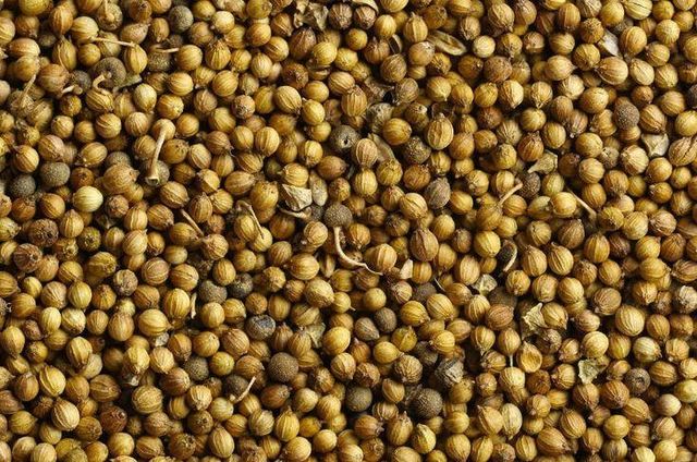 Coriander Seeds Purity 99%+ Form Cracked, Whole Moisture Content Low Flavour Bitter, Spicy Essential Oils Strong Seed Shape Bold, Round - Image 2