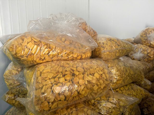 VF Dried Jackfruit Organic Yes Fruit Type Jackfruit Degree Of Maturity Mature Degree of Processing Dried - Image 3