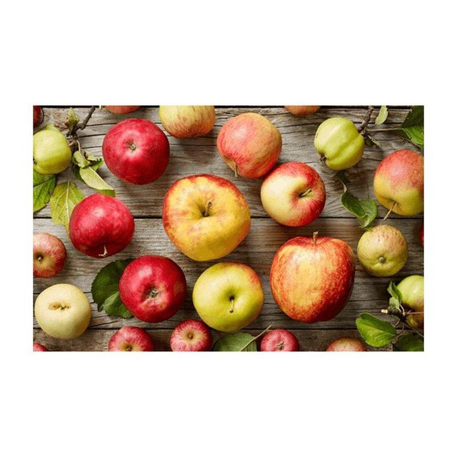 Fresh Red Delicious Apples Premium Quality Bulk Supply for Wholesale - Image 2
