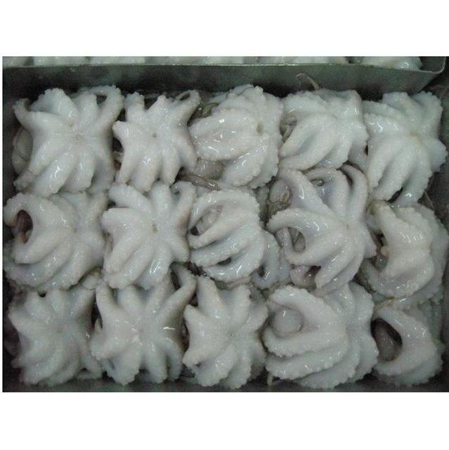Fresh And Frozen Seafood Octopus Frozen Octopus For Sale. - Image 4