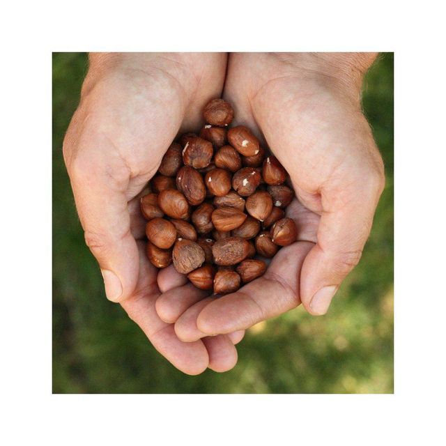Raw Hazelnut / Organic Grade Hazelnut/Hazel Nuts - Image 4
