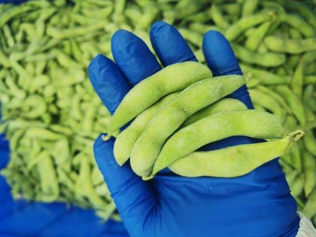 IQF edameme frozen soybean soy beans Pod Length 5-8cm Delivery Form Bag Kernels Per Pod 2-3 Shelf Life 24 Months Features No Added Sugar - Image 1
