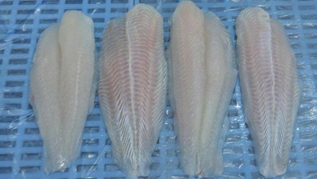Frozen Pangasius Fillets Well-trimmed, natural white/light pink - Image 3