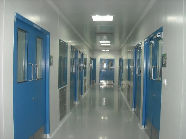 Clean Room Metallic Doors Colour Blue Sturdiness High Durability High Design Variety Various Door Open Style Hinged Dimensional Accuracy - Image 1