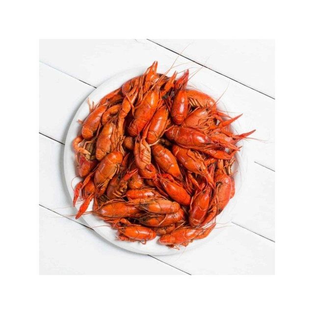 Artificial Fishing Lure Crawfish Lobster 9g Hard Plastic Bionic Fish Bait Durable ABS Body Jointed Claws Artificial Fishing Lure Crawfish Lobster 9g Hard Plastic Bionic Fish Bait Durable ABS Body Jointed Claws Artificial Fishing Lure Crawfish Lobster 9g Hard Plastic Bionic Fish Bait Durable ABS Body Jointed Claws - Image 1