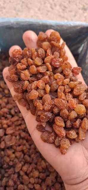 raisin Form Dried Type dried Texture Dried Flavor Sweet, Rich Manufacturer Uzbekistan Color Red, Yellow, Black Product Type Dried Fruits - Image 4