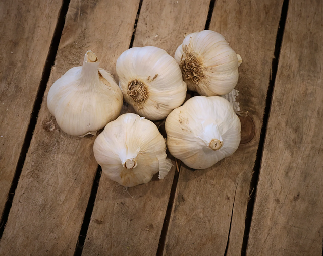Organic Fresh White Garlic 6.0cm Normal and Pure White 10kg Wholesale Carton Pure Organic Fresh Garlic - Image 5
