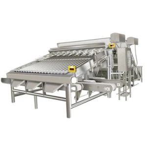 Automatic Industrial 18 Roller Fast Shrimp Grader Multifunction Size Fish Prawn Sorting Grading Machine - Image 1