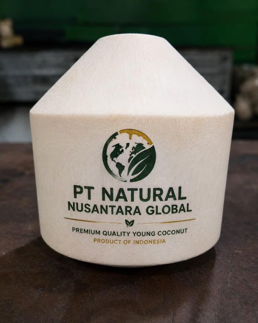 Coconuts ,copra , mature , fresh young coconut , coconut meat - Image 6