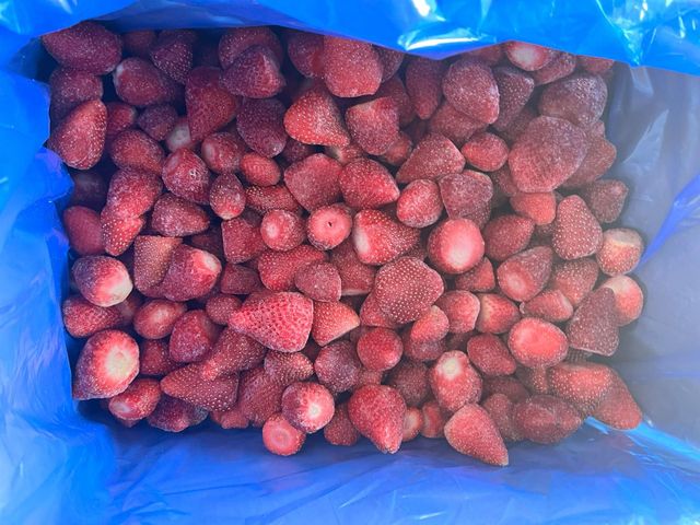 Premium IQF Frozen Strawberry Whole – Grade A (Festival / Fortuna) – product photo 3, product detail gallery