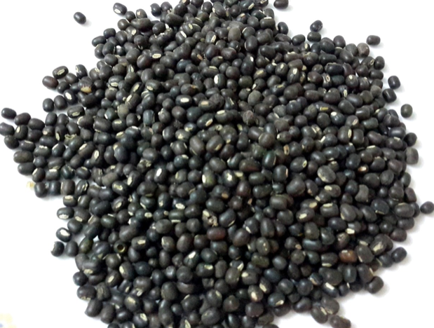 Organic split black urad dal - Image 5