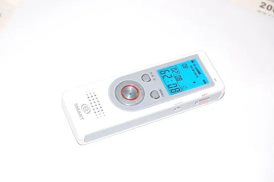 Digital Voice Recorder (R101) - Image 1