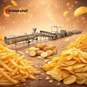 Cost Effective High Productivity Chips Production Line - Image 1