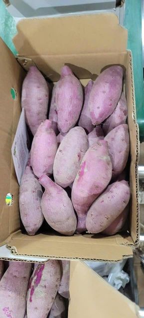 PURPLE SWEET POTATO - Image 2