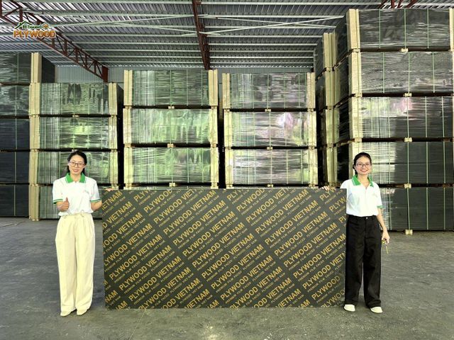 Film Faced Plywood - Image 2