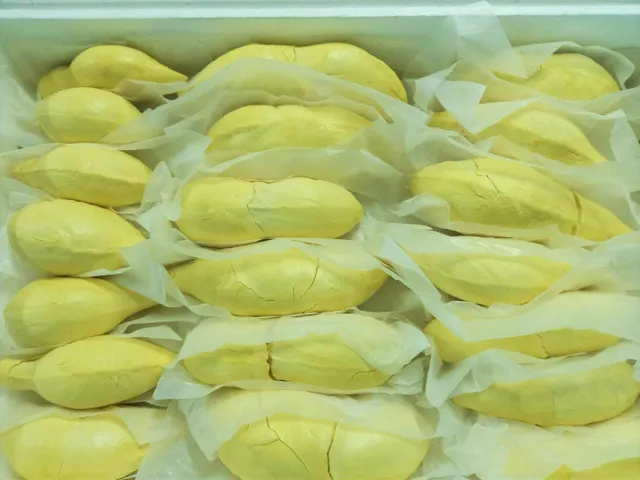 Peeled Durian Monthong - Image 2