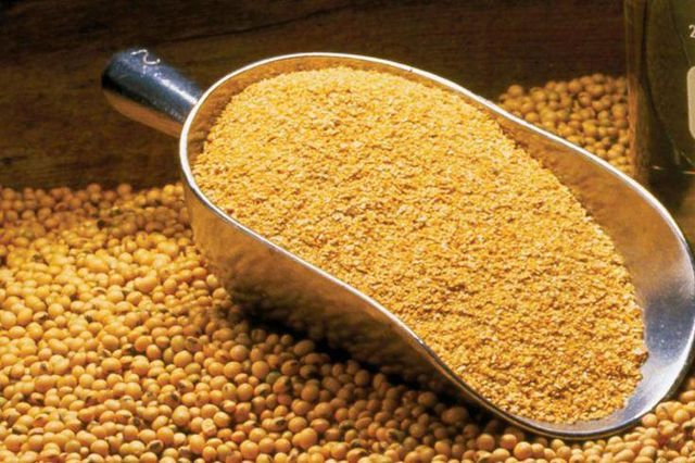 High-Protein Soybean Meal – Premium Animal Feed Ingredient - Image 3