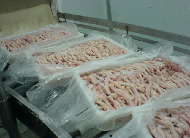 Fresh Frozen Chicken Feet/Chicken Drumstick/ Frozen Quarter Chicken Leg - Image 4