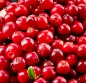 Frozen Lingonberry - Image 1