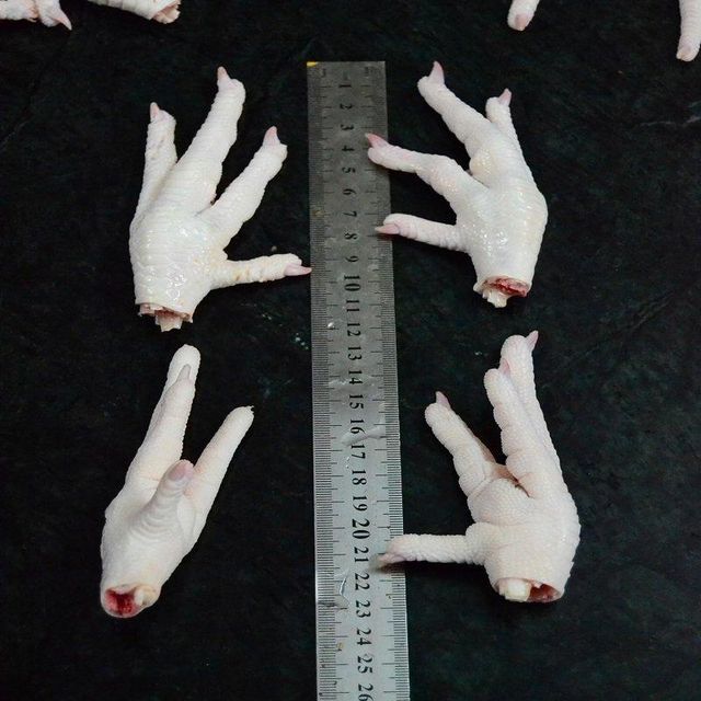 chicken paw Regulatory Approvals SFDA, GACC Certifications Halal, ISO, HACCP, BRC, - Image 3