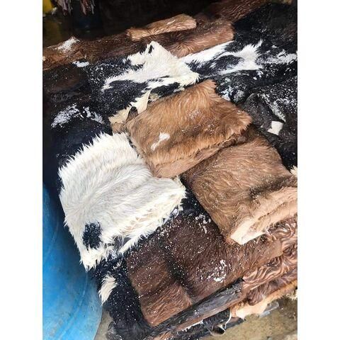 Wet Salted Donkey Hides and Cow Hides, cattle Hides - Image 2