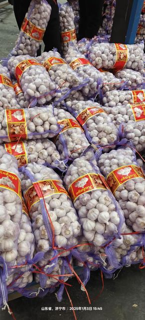 Fresh Chinese White Garlic 4.5–6.5cm – Bulk Premium Cooking Garlic - Image 5