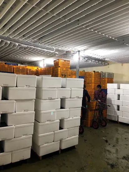 Customizable Quick Freezing Equipment for Various Dimensions Condition New Weight 2000 Kg Warranty 1 Year Certification - Image 5